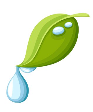 Yeşil yaprak su damlası ile. Düz çizgi film tarzı. Beyaz arka plan üzerinde izole vektör çizim