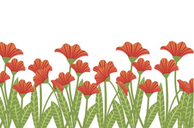 Kırmızı çiçekli kırmızı gelincikler beyaz arkaplanda düz vektör çizimi