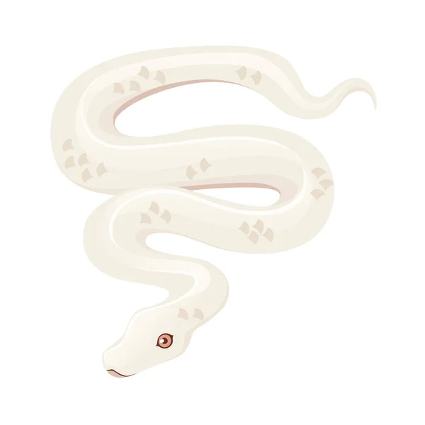 Witte albinoslang cartoon dier ontwerp platte vector illustratie geïsoleerd op witte achtergrond — Stockvector