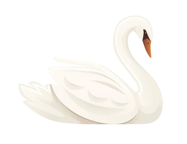 Bílá labuť největší létající pták plavat na vodě kreslené zvíře design plochý vektor ilustrace izolované na bílém pozadí — Stockový vektor