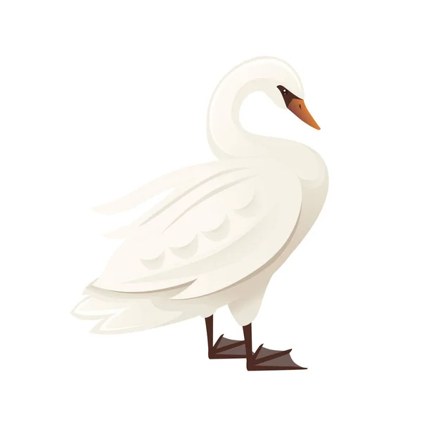 Branco cisne maior pássaro voador ficar no chão desenho animal desenho desenho animal plano ilustração vetorial isolado no fundo branco — Vetor de Stock