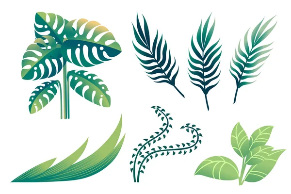 Conjunto de folhas verdes tropicais com forma diferente ilustração vetorial plana isolado no fundo branco —  Vetores de Stock