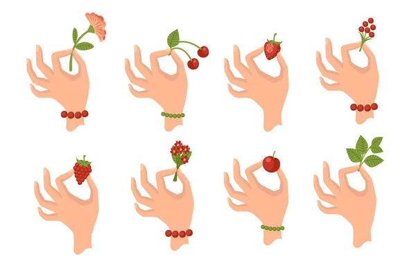 Set of hand holding berries or leaves flat vector illustration isolated on white background. — Archivo Imágenes Vectoriales