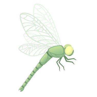 Büyük sarı gözlü yeşil yusufçuk. Beyaz arka planda izole edilmiş düz vektör çizimi.