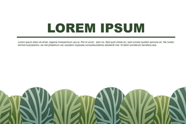 Πράσινο γρασίδι και θάμνοι σύγχρονο σχέδιο φύλλωμα για διακόσμηση κήπου ή δημόσιου πάρκου επίπεδη διανυσματική απεικόνιση σε λευκό φόντο οριζόντια θέση σχεδιασμού φυλλάδιο για κείμενο — Διανυσματικό Αρχείο
