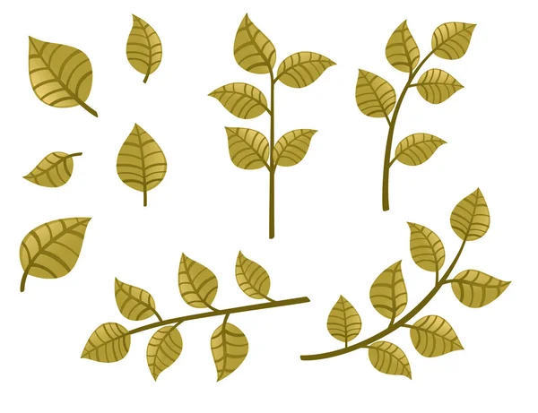 Set of green autumn leaves on branches flat vector illustration isolated on white background. — Archivo Imágenes Vectoriales