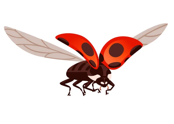 Ladybug с открытой скорлупой и крыльями летающего жука-карикатуриста дизайн плоской векторной иллюстрации, изолированной на белом фоне — стоковый вектор