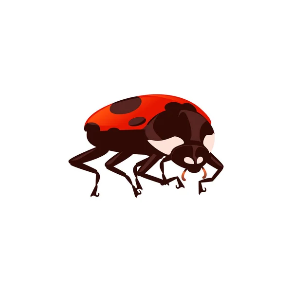 Ladybug with closed shell beetle cartoon bug design flat vector illustration isolated on white fone — стоковый вектор