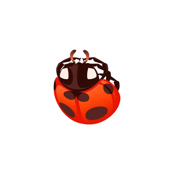 Ladybug con coleottero chiuso disegno cartoon bug vettoriale piatto illustrazione isolato su sfondo bianco — Vettoriale Stock