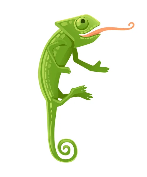 Cute small green chameleon with open mouth and long tongue lizard cartoon animal design flat vector illustration isolated on white background — Stock Vector