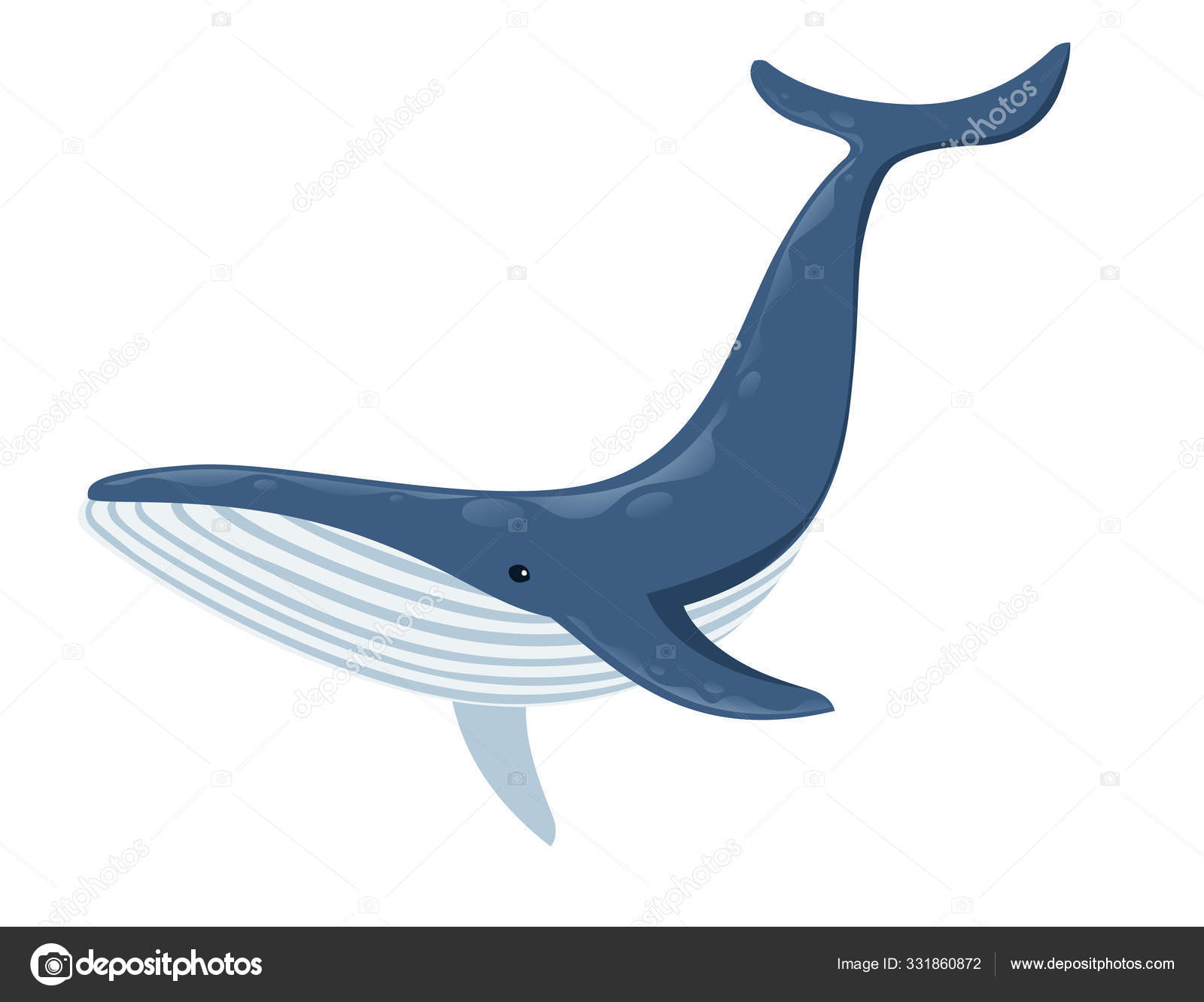 Whale cartoon Vector Art Stock Images | Depositphotos Whale cartoon Vector Art Stock Images | Depositphotos