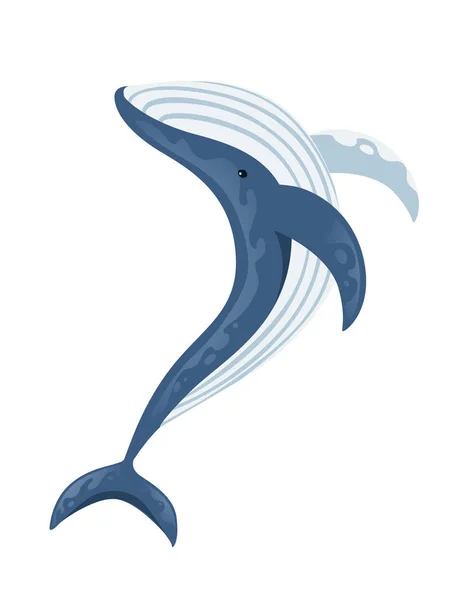 Großer blauer Wal Karikatur Tier Design größte Säugetier auf der Erde flache Vektorillustration isoliert auf weißem Hintergrund — Stockvektor