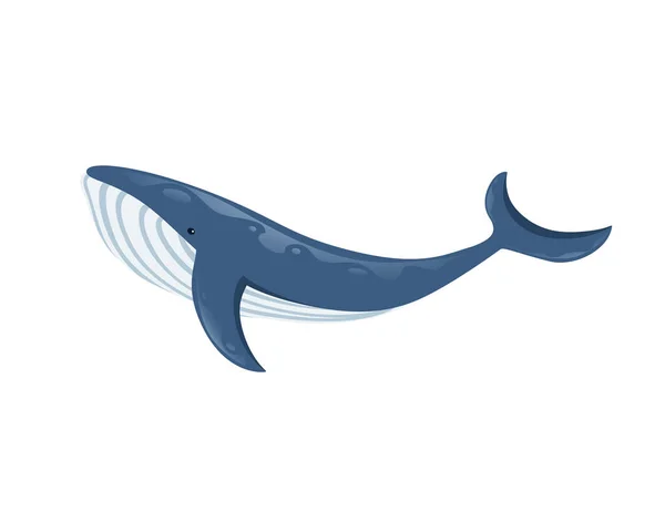 Big blue whale cartoon animal design biggest mammal on the earth flat vector illustration isolated on white background — 스톡 벡터