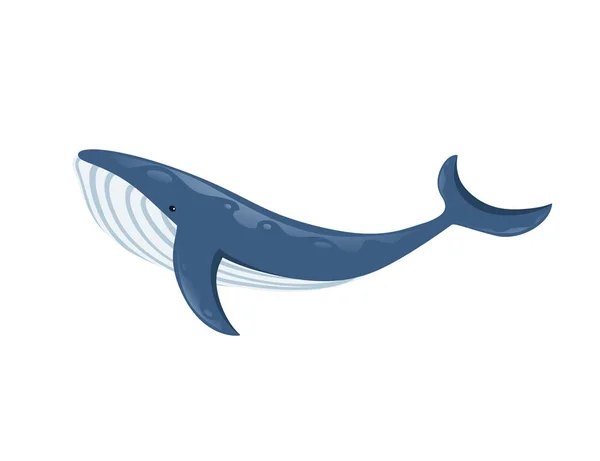 Whale cartoon Vector Art Stock Images | Depositphotos