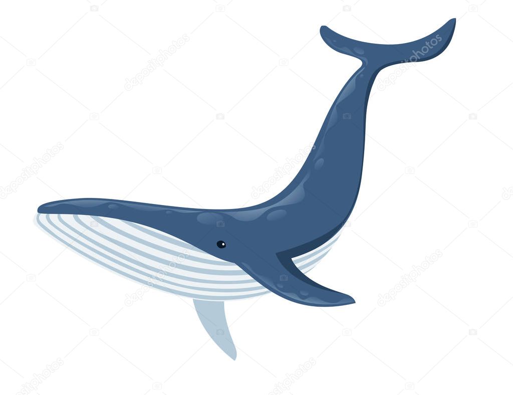 Big blue whale cartoon animal design biggest mammal on the earth flat vector illustration isolated on white background