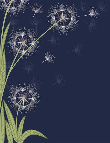 Dandelions fiori con i semi volanti su sfondo blu scuro vettore piatto illustrazione verticale — Vettoriale Stock
