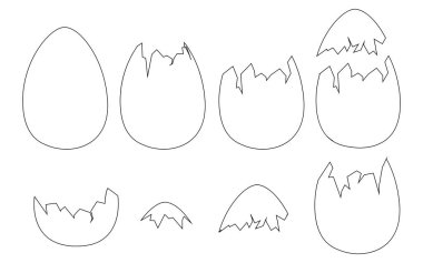 Yumurta kabukları seti bütün ve kırılmış kabuklar düz vektör çizimi beyaz arkaplan çizgisi biçimi izole