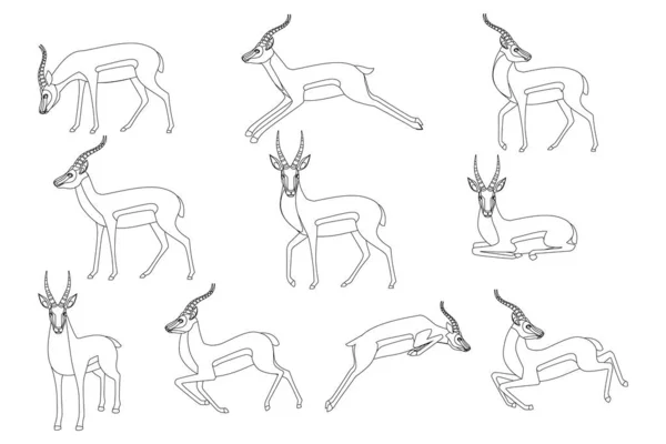 Set di africano selvaggio nero coda gazzella con corna lunghe cartone animato animale disegno piatto vettore illustrazione su sfondo bianco lato vista antilope contorno stile — Vettoriale Stock