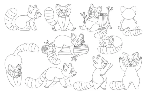 Set med söta bedårande röd panda i olika poser tecknad design djur karaktär platt vektor stil illustration på vit bakgrund kontur stil — Stock vektor