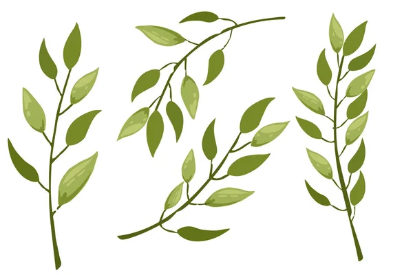 Ensemble de branches d'arbre dessinées à la main avec des feuilles fleurs florales dessinées à la main style scandinave élément graphique illustration vectorielle plane — Image vectorielle
