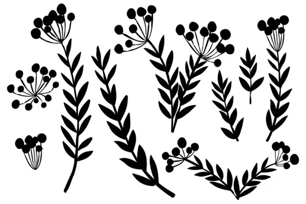 Negro silueta conjunto de ramas de árbol dibujado a mano con hojas flores botánicas florales dibujado a mano scandinavia estilo art elemento de diseño plano vector ilustración. — Archivo Imágenes Vectoriales
