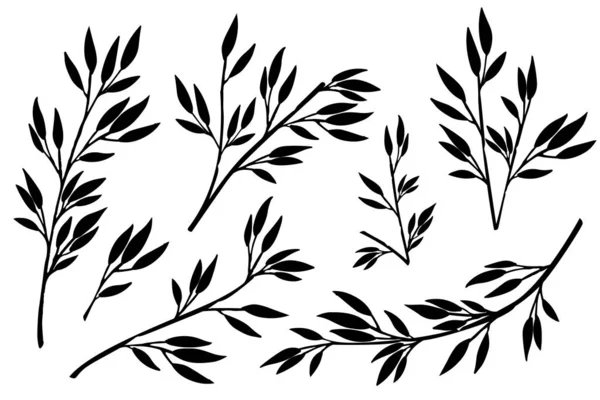 Черный силуэтный набор из нарисованных вручную ветвей деревьев с листьями ботанических цветков, нарисованных вручную, элемент стиля арт-дизайна плоская векторная иллюстрация — стоковый вектор