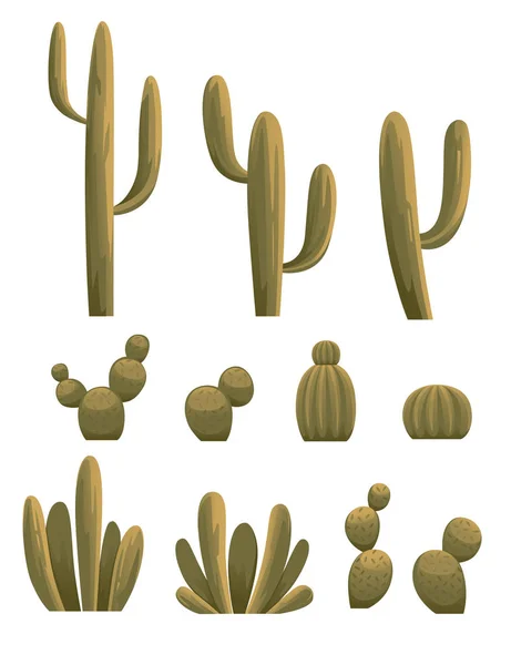Sada pouštní nebo domácí kaktusové rostliny šťavnaté pokojové rostliny ploché vektorové ilustrace izolované na bílém pozadí — Stockový vektor