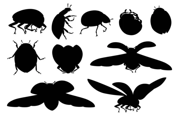 Установить Черный Силуэт Ladybug Открытой Оболочкой Крыльями Летающего Жука Мультфильм — стоковый вектор