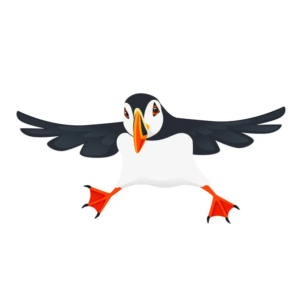 Atlantik Puffin Pták Kreslené Zvíře Design Plochý Vektor Ilustrace Izolované — Stockový vektor