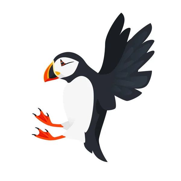 白い背景に隔離された空飛ぶ大西洋のパフィン鳥の漫画動物のデザインフラットベクトルイラスト — ストックベクタ