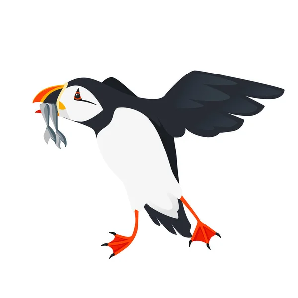 Volare Atlantica Puffin Uccello Con Pesci Becco Cartone Animato Animale — Vettoriale Stock