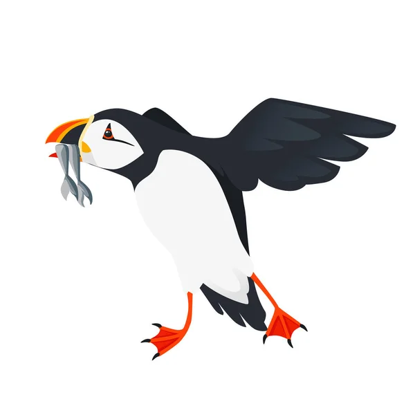 Flying Atlantic Puffin Bird Fish Beak Dessin Animé Animal Design — Image vectorielle