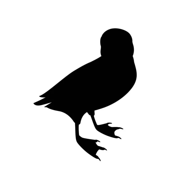 Schwarze Silhouette Atlantischen Papageitaucher Vogel Cartoon Tier Design Flache Vektor — Stockvektor