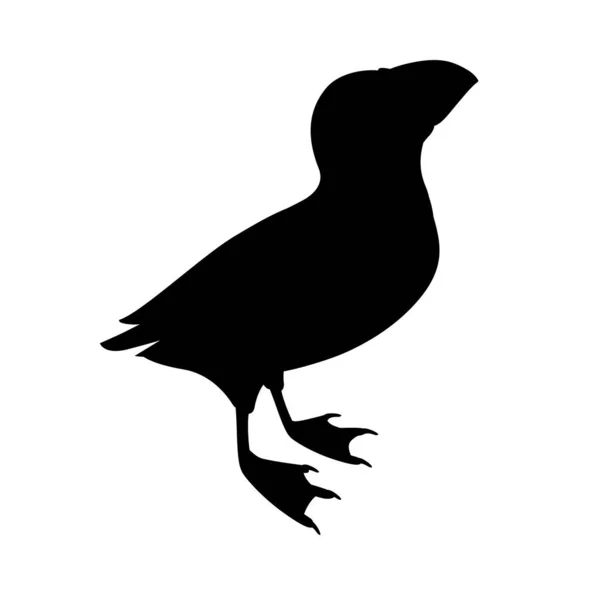 Silhouette Noire Oiseau Macareux Atlantique Regarder Bande Dessinée Supérieure Animal — Image vectorielle