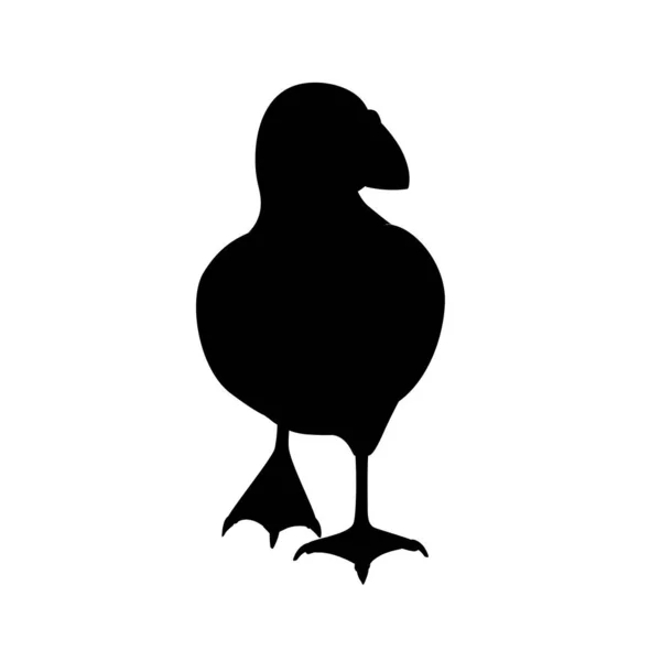 Černá Silueta Atlantický Puffin Pták Kreslený Zvířecí Design Plochý Vektor — Stockový vektor