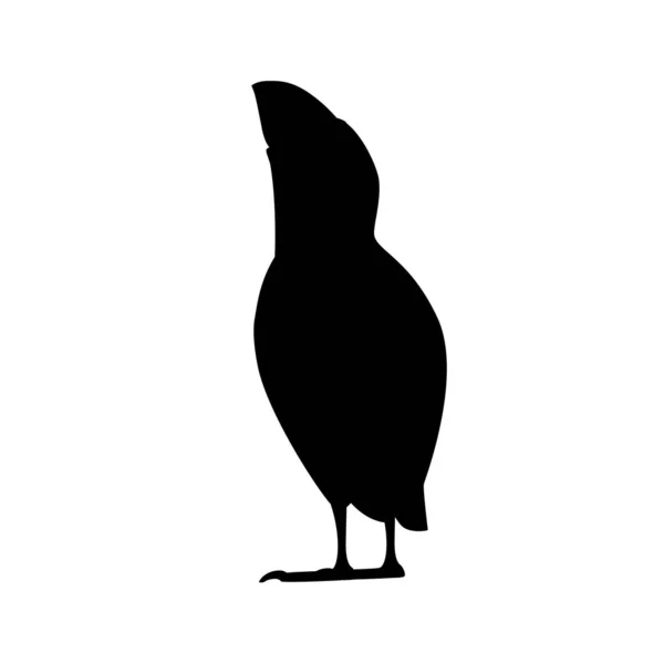 Schwarze Silhouette Atlantischen Papageitaucher Vogel Blick Auf Top Cartoon Tier — Stockvektor