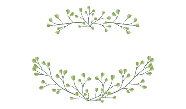 Frame Boven Onderkant Hand Getekende Boomtakken Met Bladeren Botanische Bloemen — Stockvector