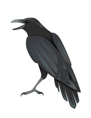 Siyah kuzgun kuş karikatür karga tasarımı Düz vektör hayvan çizimi beyaz arkaplan izole.