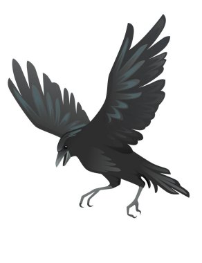 Siyah kuzgun kuş karikatür karga tasarımı Düz vektör hayvan çizimi beyaz arkaplan izole.