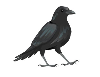 Black raven bird cartoon crow design flat vector animal illustration isolated on white background. clipart