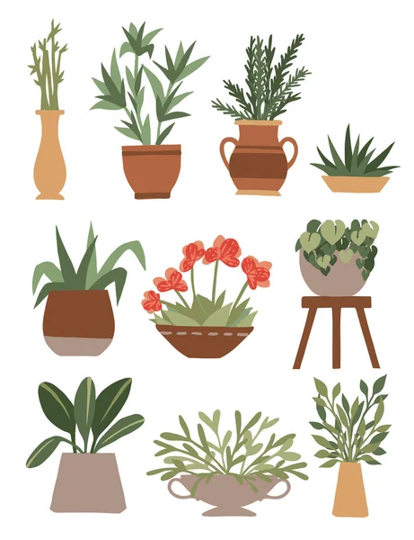 Casa Plantas Jardim Decorativas Livre Vasos Conjunto Plantas Verdes Plano — Vetor de Stock