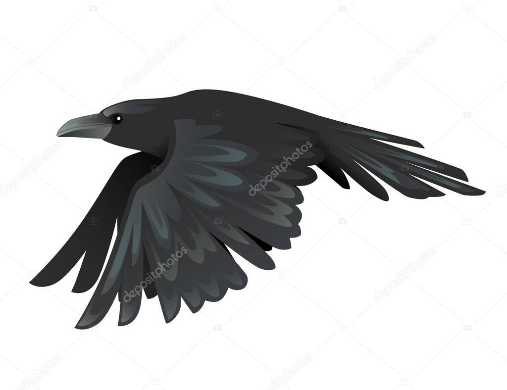 Black raven bird cartoon crow design flat vector animal illustration isolated on white background.