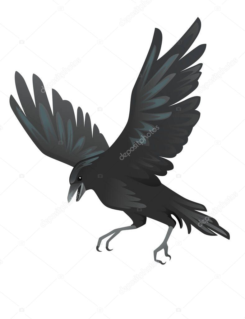 Black raven bird cartoon crow design flat vector animal illustration isolated on white background.