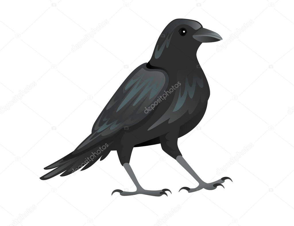 Black raven bird cartoon crow design flat vector animal illustration isolated on white background.