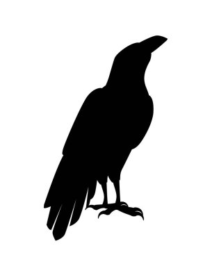 Siyah siluet kuzgun karga karga tasarımı Düz vektör hayvan çizimi beyaz zemin üzerinde izole.