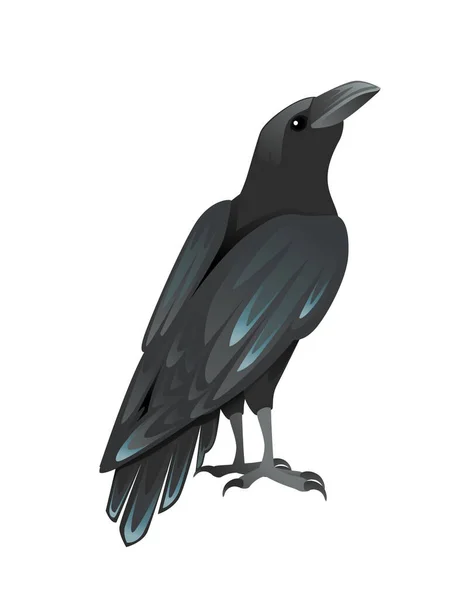 Schwarz Rabe Vogel Cartoon Krähen Design Flache Vektor Tier Illustration — Stockvektor