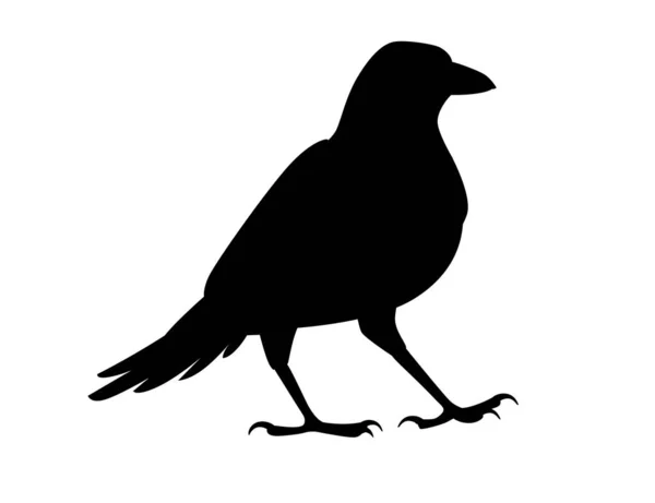 Schwarze Silhouette Rabe Vogel Cartoon Krähen Design Flache Vektor Tier — Stockvektor