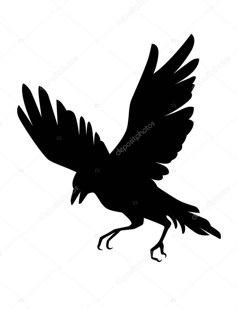 Black silhouette raven bird cartoon crow design flat vector animal illustration isolated on white background.