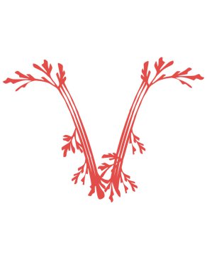 V harfi pembe deniz yosunları sualtı okyanus bitkisi deniz mercan elementleri beyaz arka planda düz vektör çizimi.