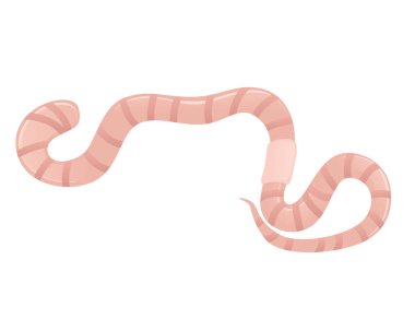 Solucan sürüngeni, beyaz arka planda izole edilmiş düz vektör çizimi..